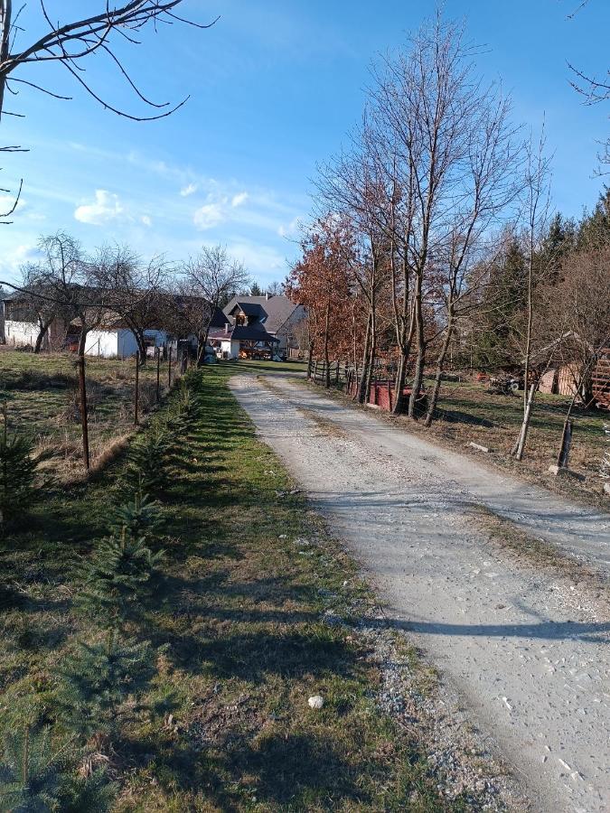 Apartament Nad Potokiem Domaszkow Zewnętrze zdjęcie