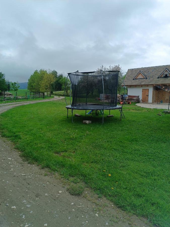 Apartament Nad Potokiem Domaszkow Zewnętrze zdjęcie