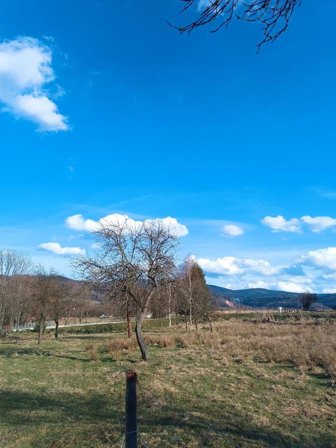 Apartament Nad Potokiem Domaszkow Zewnętrze zdjęcie