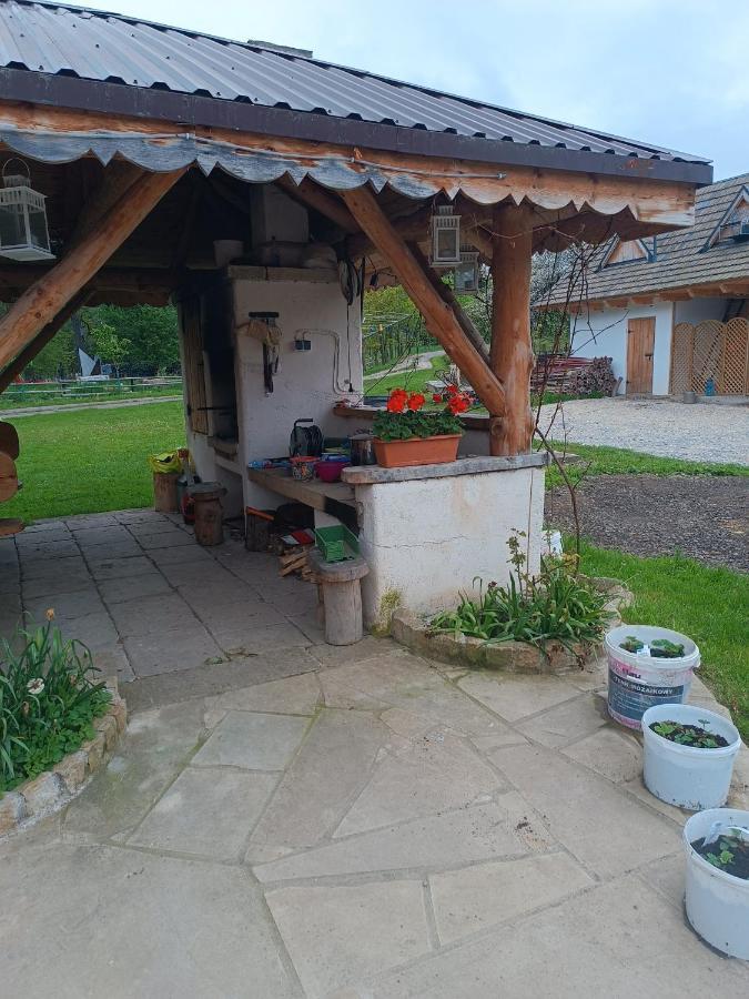 Apartament Nad Potokiem Domaszkow Zewnętrze zdjęcie