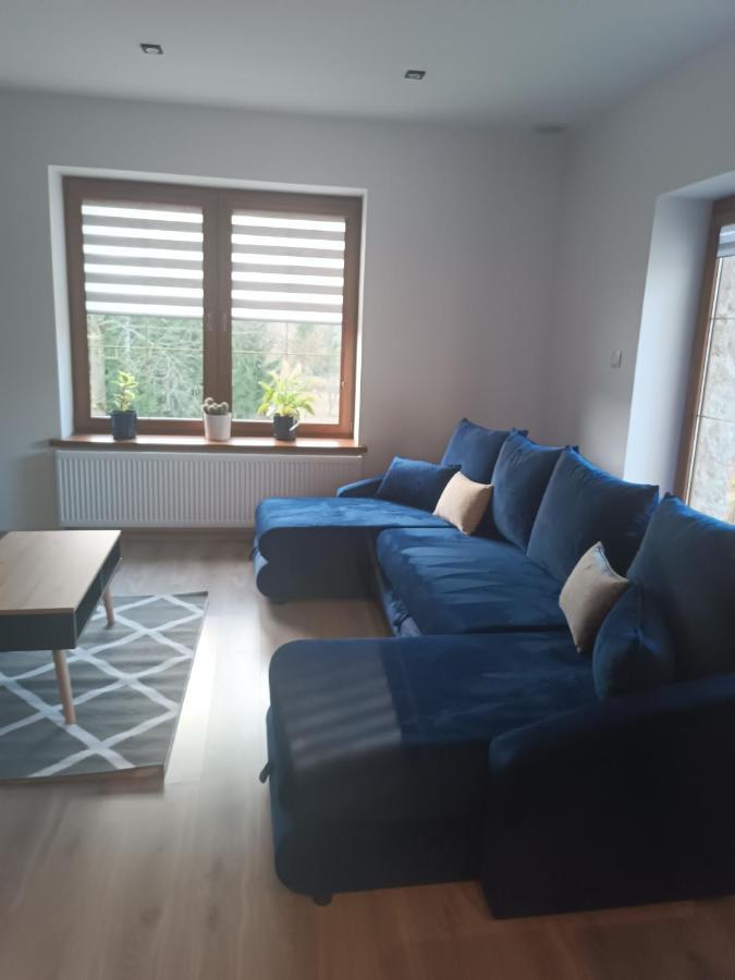 Apartament Nad Potokiem Domaszkow Zewnętrze zdjęcie