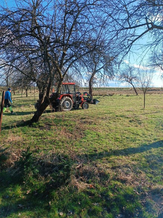 Apartament Nad Potokiem Domaszkow Zewnętrze zdjęcie