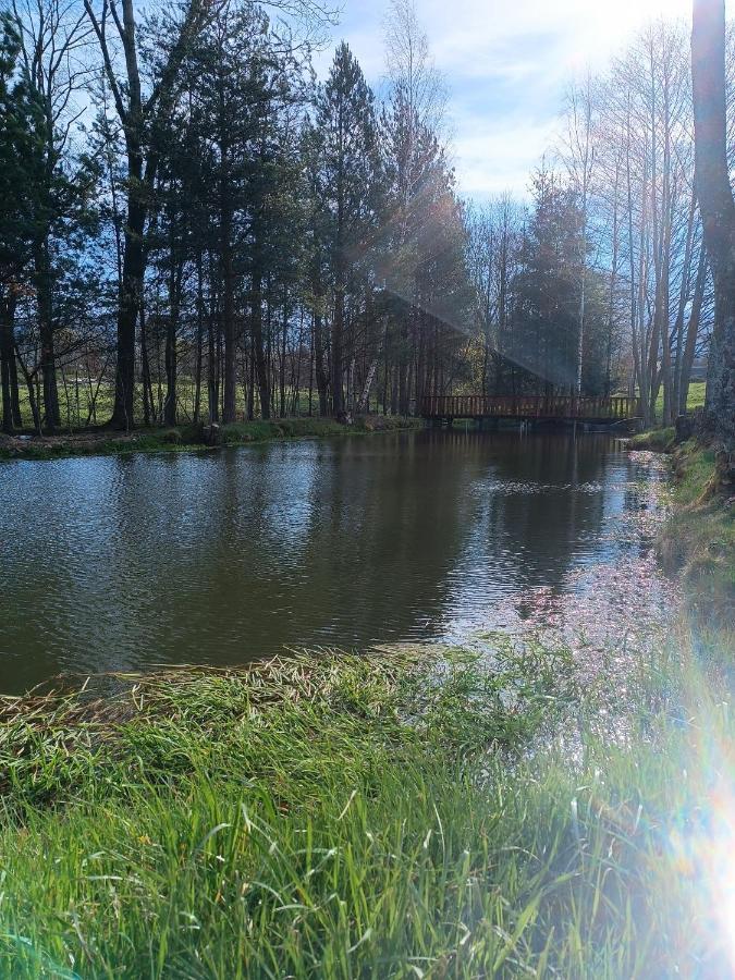 Apartament Nad Potokiem Domaszkow Zewnętrze zdjęcie